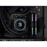 Corsair CMT64GX5M2B5600Z40K grigio/Nero