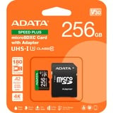 ADATA SPEED PLUS microSDXC 256 GB 