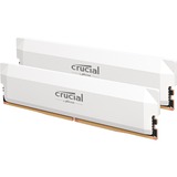 Crucial CP2K32G64C40U5W bianco