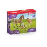 Schleich HORSE CLUB 42432 set da gioco 5 anno/i, Multicolore