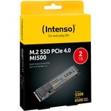 Intenso MI500 2 TB 