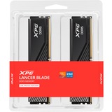 ADATA AX5U6000C4816G-DTLABBK Nero