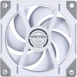 Phanteks PH-F120D30R_DRGB_PWM_WT01_3P bianco