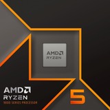 AMD 100-100001405WOF boxed