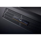 Kingston FURY KF564R32RB-32 Nero