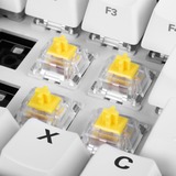 Sharkoon Linear Gateron PRO YELLOW Interruttori a tastiera giallo/trasparente, Interruttori a tastiera, Bianco, Giallo