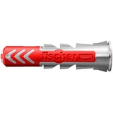 fischer DUOPOWER 10x50, 570550 grigio chiaro/Rosso