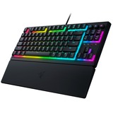 Razer RZ03-04880400-R3G1 Nero