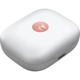 Motorola moto buds Coral