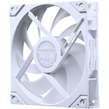 Phanteks PH-F140M25R_G2_DWT01_3P bianco