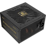 Enermax ERV850G-AHG-MAC 