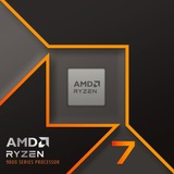 AMD 100-100001404WOF boxed