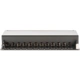 Digitus Desktop CAT 6A, cavo patch classe EA, schermato Nero, cavo patch classe EA, schermato, 10 Gigabit Ethernet, RJ-45, Nero, Acciaio galvanizzato, SECC, Montaggio a rack, 1U