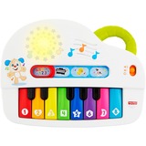 Fisher-Price GFK01 giocattolo educativo 0,5 anno/i, Sonoro, Batterie richieste, Stilo AA, Multicolore