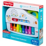 Fisher-Price GFK01 giocattolo educativo 0,5 anno/i, Sonoro, Batterie richieste, Stilo AA, Multicolore