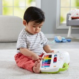 Fisher-Price GFK01 giocattolo educativo 0,5 anno/i, Sonoro, Batterie richieste, Stilo AA, Multicolore