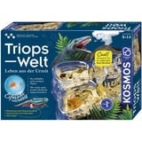 KOSMOS Kit per esperimenti Triops-Welt 633073 da 8 anni 