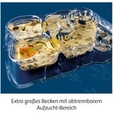 KOSMOS Kit per esperimenti Triops-Welt 633073 da 8 anni 