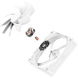 NZXT F120Q bianco