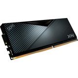 ADATA AX5U5600C4632G-SLABBK Nero