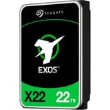 Seagate ST22000NM001E 