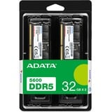 ADATA AD5U560032G-DT Nero