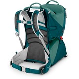 Osprey 10005969 verde scuro