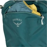 Osprey 10005969 verde scuro