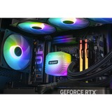 ALTERNATE AGP-WINDOW-AMD-009 Nero