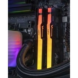 ALTERNATE AGP-WINDOW-AMD-009 Nero