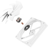 NZXT F140Q bianco