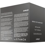 AMD 100-100001591BOX boxed