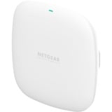 Netgear WAX210-100EUS 