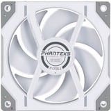 Phanteks PH-F120D30_DRGB_PWM_WT01 bianco