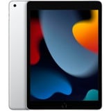 Apple iPad argento