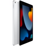 Apple iPad argento