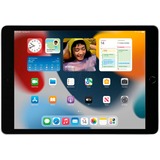 Apple iPad argento