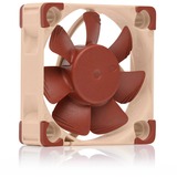 Noctua NF-A4x10 24V PWM marrone/Beige