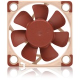 Noctua NF-A4x10 24V PWM marrone/Beige