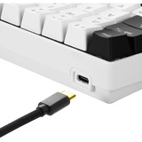 Sharkoon SGK50 S4 tastiera USB QWERTZ Tedesco Nero bianco/Nero, 60%, USB, QWERTZ, LED RGB, Nero