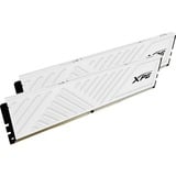 ADATA AX4U32008G16A-DTWHD35 bianco