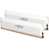 Crucial CP2K32G60C40U5W bianco