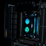 Thermal Grizzly TG-MY-DD-P-RGB-AMD-V1 Nero/trasparente