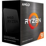 AMD 100-100001581WOF boxed