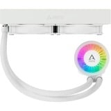 ARCTIC Liquid Freezer III 240 A-RGB bianco