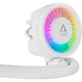 ARCTIC Liquid Freezer III 240 A-RGB bianco