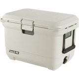 Coleman PRO 45QT beige