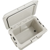 Coleman PRO 45QT beige