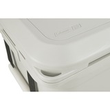 Coleman PRO 45QT beige