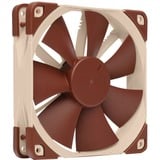 Noctua NF-F12 PWM marrone chiaro